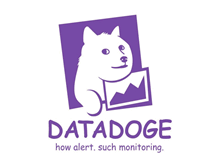 Tablet Screenshot of datadoge.com